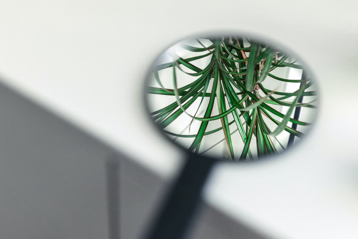 Can You Get an STD From a Toilet Seat? Evvy